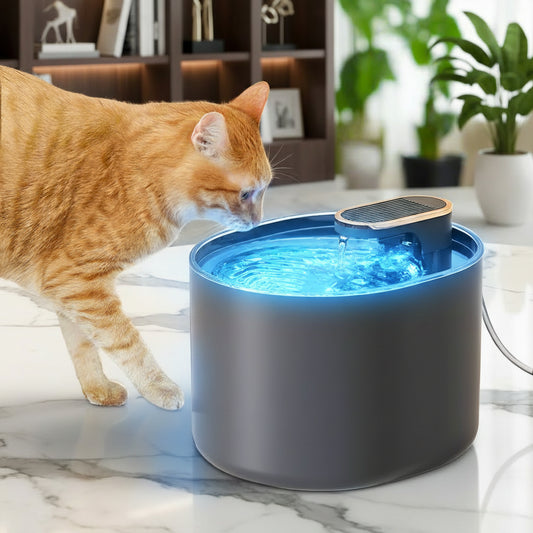 Automatic Cat Water Fountain. - Sniff Waggle And Walk