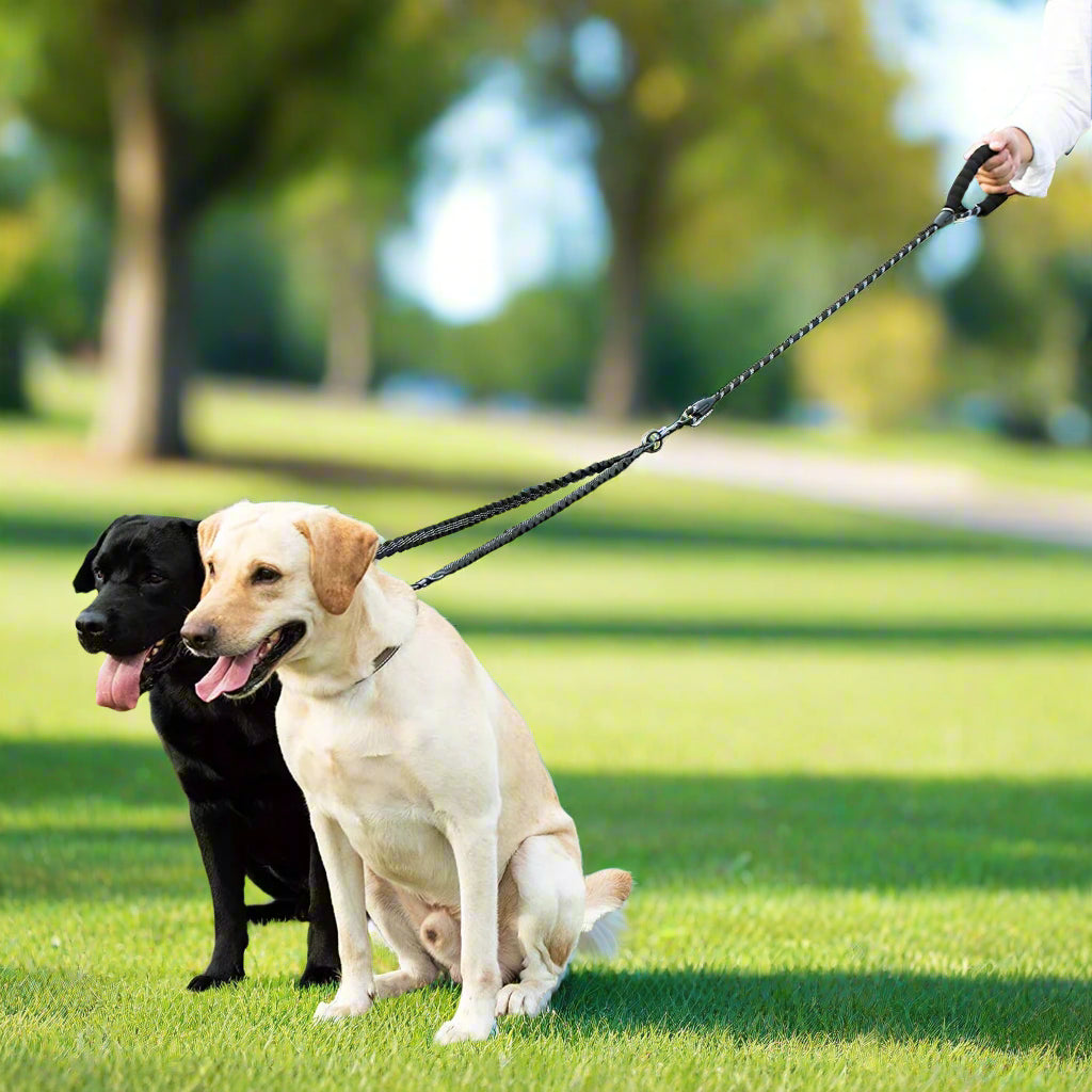 SniffWaggleNWalk DuoWalk™ double dog lead — tangle-free bungee coupler with 360° swivel, black, shown laid flat