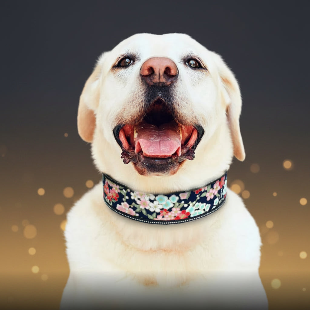 Dog wearing a floral collar with a blurred wooden background