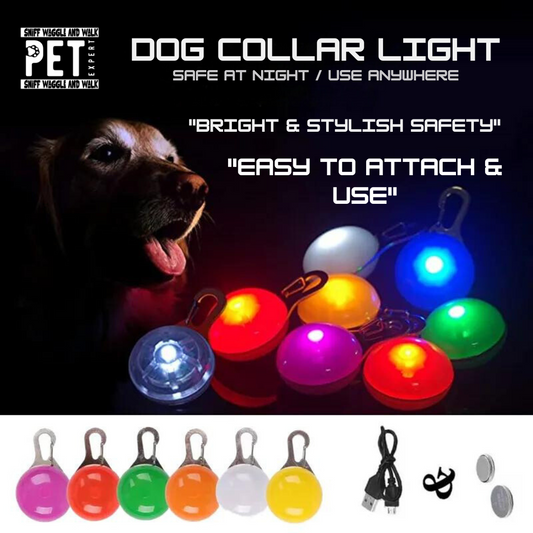 GlowCharm Rechargeable LED Dog Collar Pendant — glowing at night — SniffWaggleNWalk