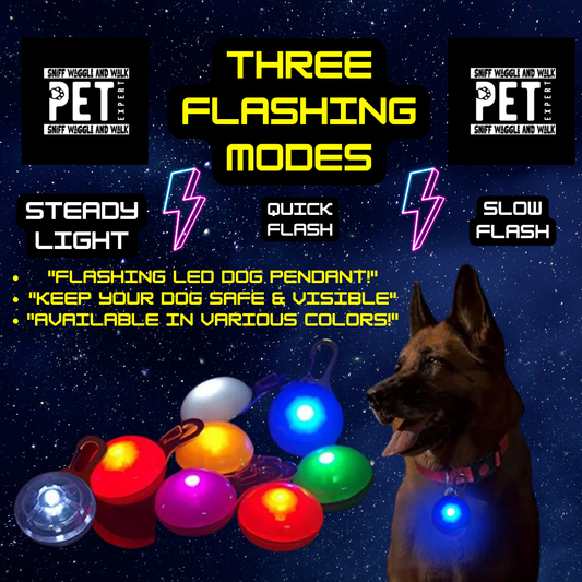 GlowCharm Rechargeable LED Dog Collar Pendant — USB charging — SniffWaggleNWalk