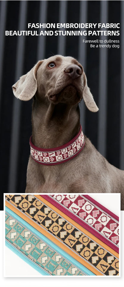 GlowGuard red dog collar embroidered fabric pattern worn by Weimaraner — SniffWaggleNWalk