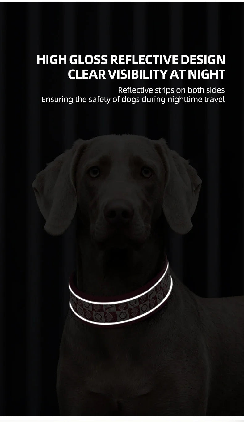 GlowGuard dog collar reflective stitching glowing at night on dog's neck — SniffWaggleNWalk