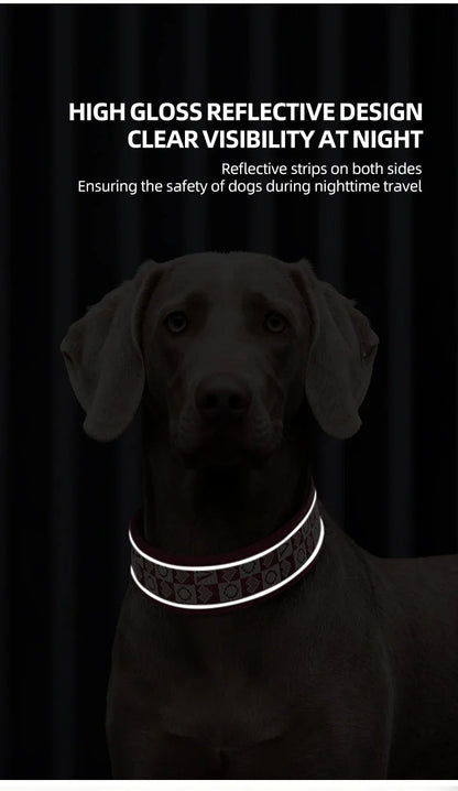 GlowGuard dog collar reflective stitching glowing at night on dog's neck — SniffWaggleNWalk