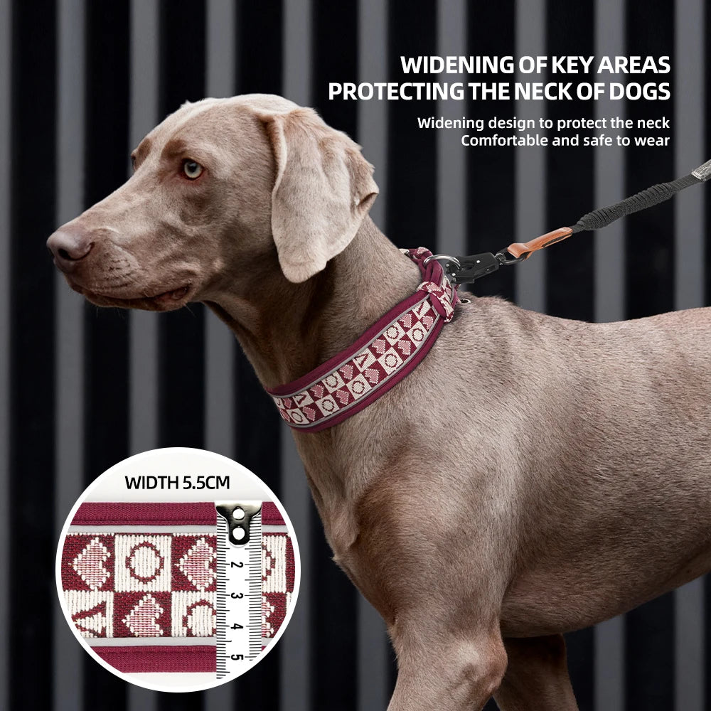 GlowGuard reflective dog collar wide design protecting dog's neck — worn by Weimaraner — SniffWaggleNWalk