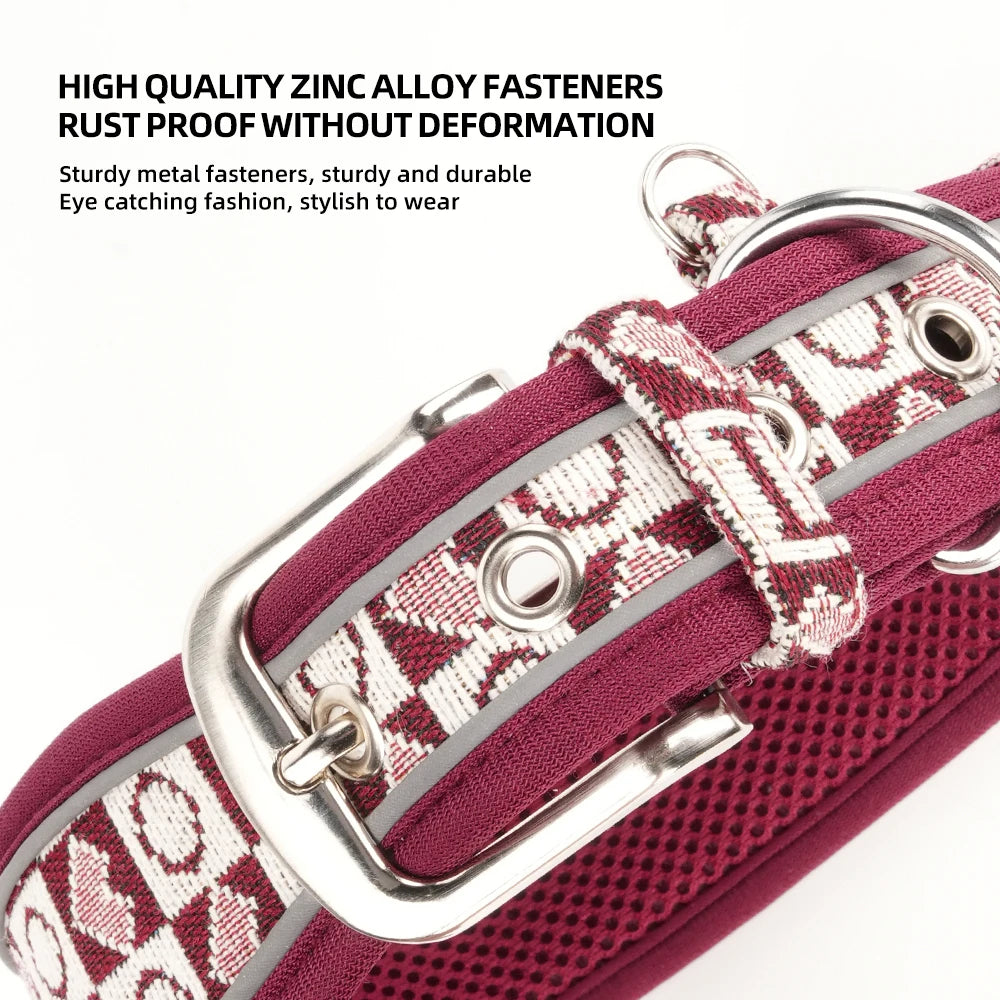 GlowGuard dog collar zinc alloy buckle close-up — rust-proof metal hardware — SniffWaggleNWalk