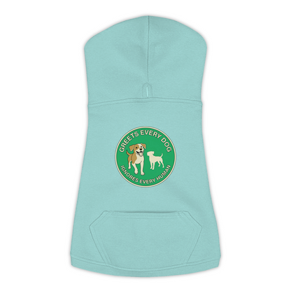 Greets Every Dog. Ignores Every Human. dog hoodie in Saltwater - back print, sizes L to 3XL