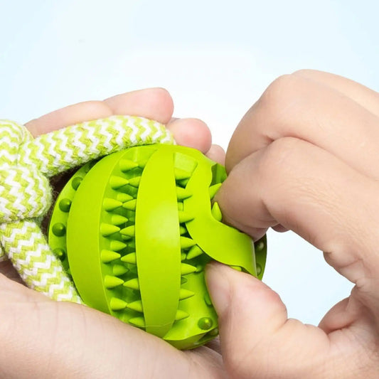 Dog chewing rubber slow feeder ball on natural hemp rope tug toy