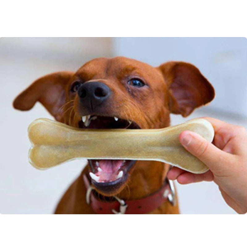 HideBone Natural Cowhide Bone Dog Chew — main view — SniffWaggleNWalk