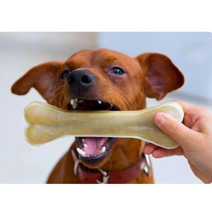 HideBone Natural Cowhide Bone Dog Chew — main view — SniffWaggleNWalk