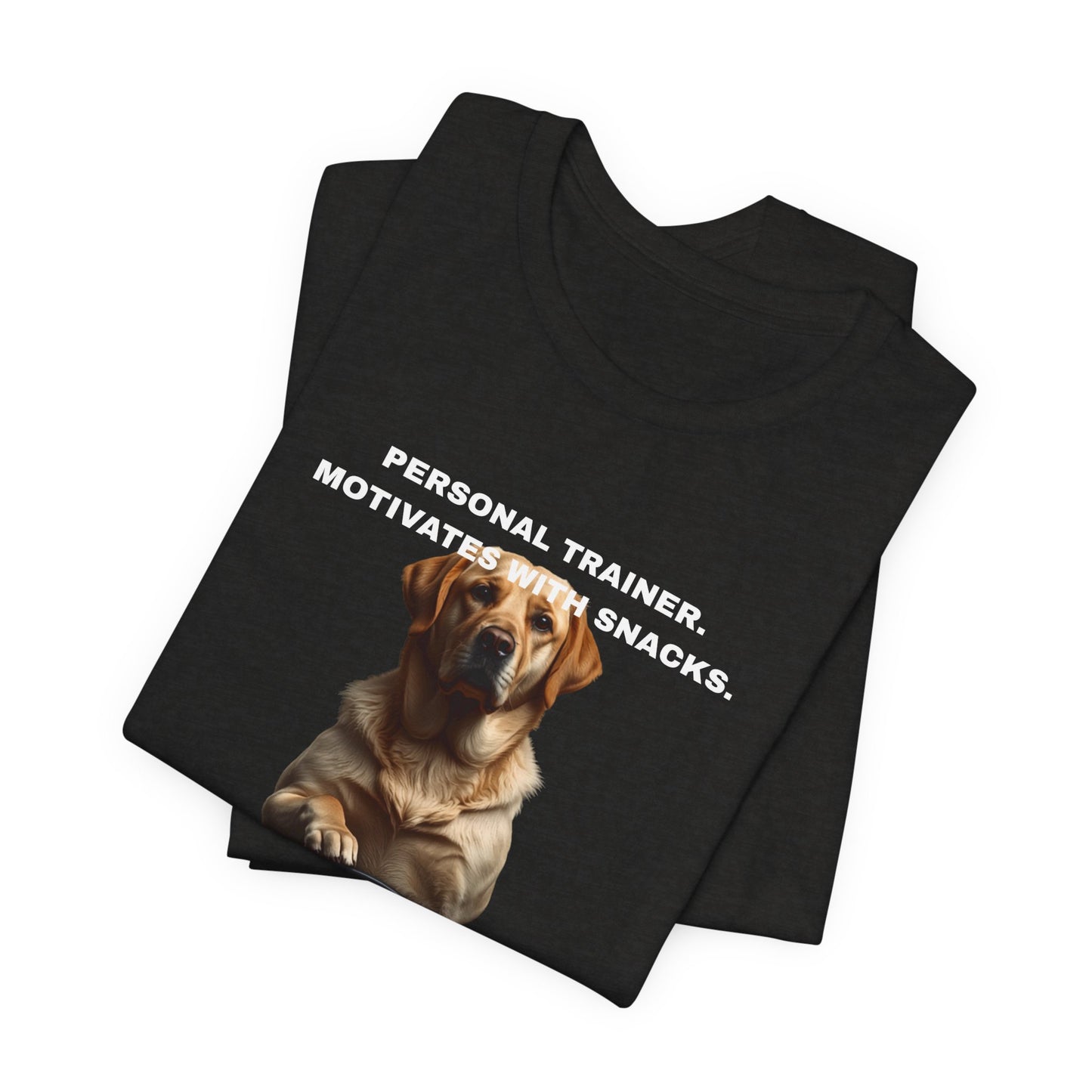 Home Gym Labrador T-Shirt - funny dog gym lover tee