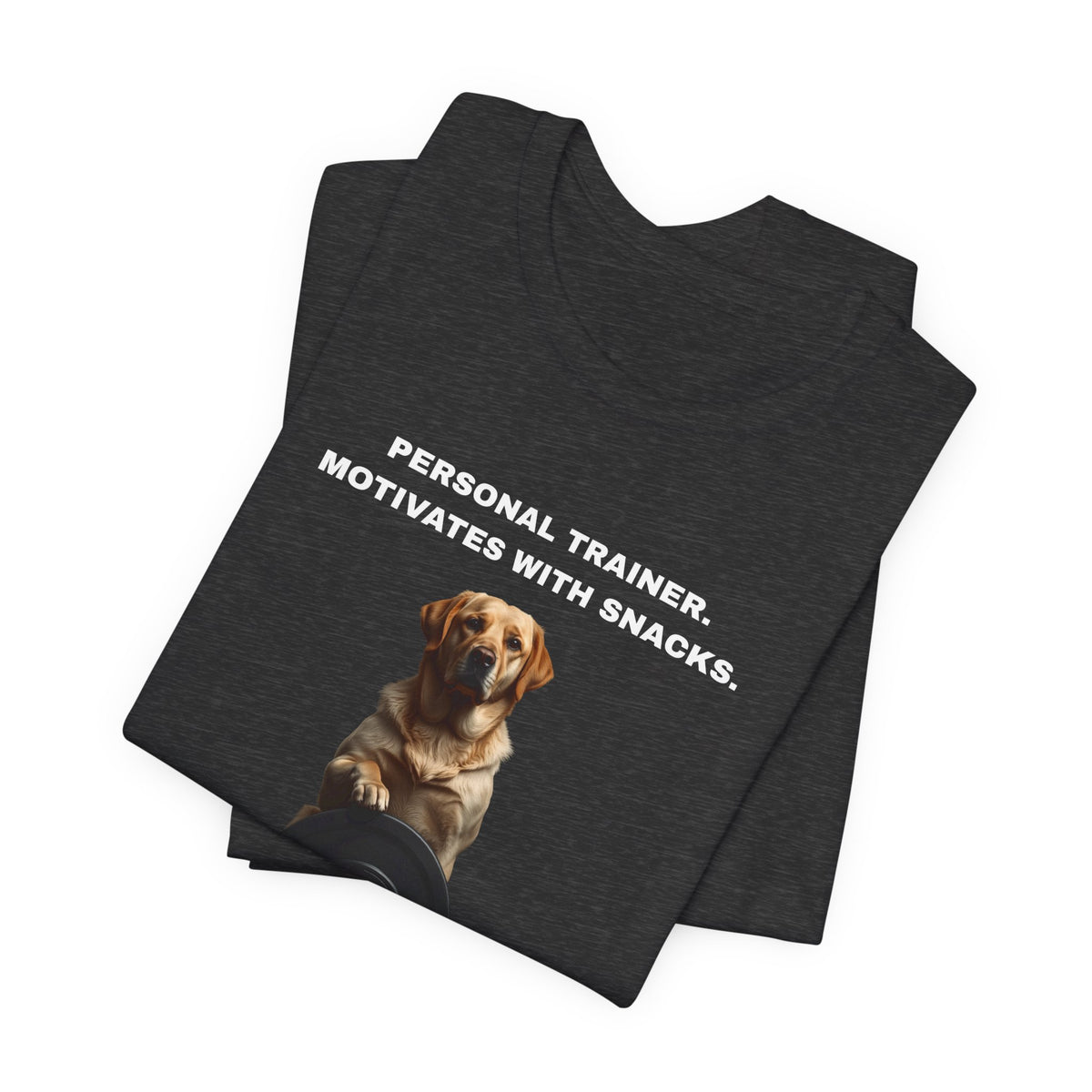 Home Gym Labrador T-Shirt view 20 — SniffWaggleNWalk