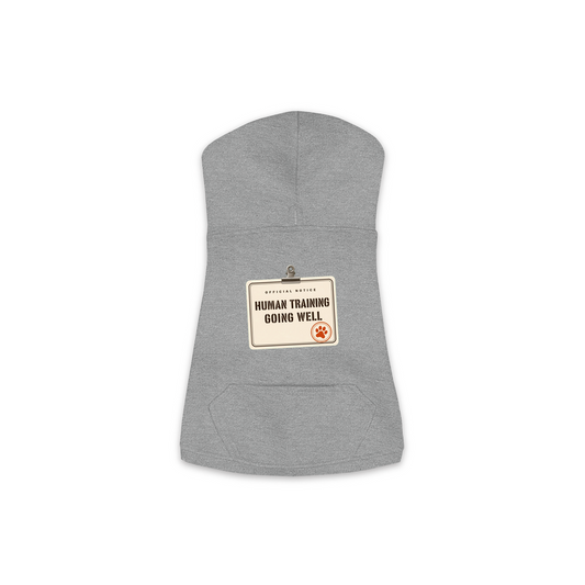 Human Training dog hoodie in Granite Heather Grey, sizes XS to M