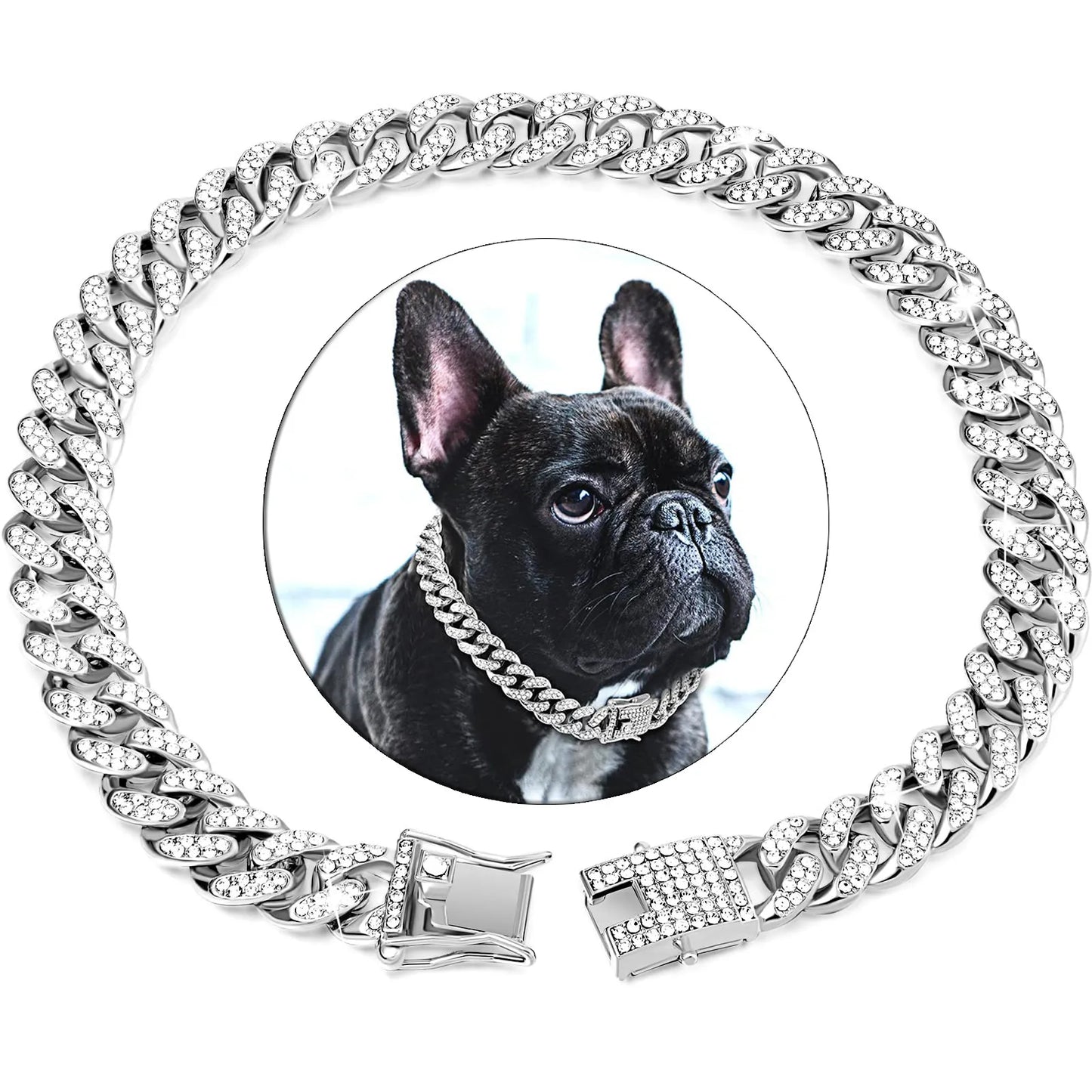 IceLink diamond cuban chain dog collar being worn by a dog on a walk