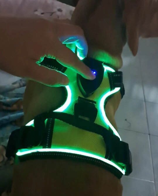 Black LED dog harness with glowing chest panel showing red and green light options on white background