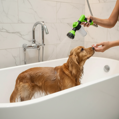 Cocker Spaniel in the bath being washed indoors with a dog shower spray gun connected to the shower hose.