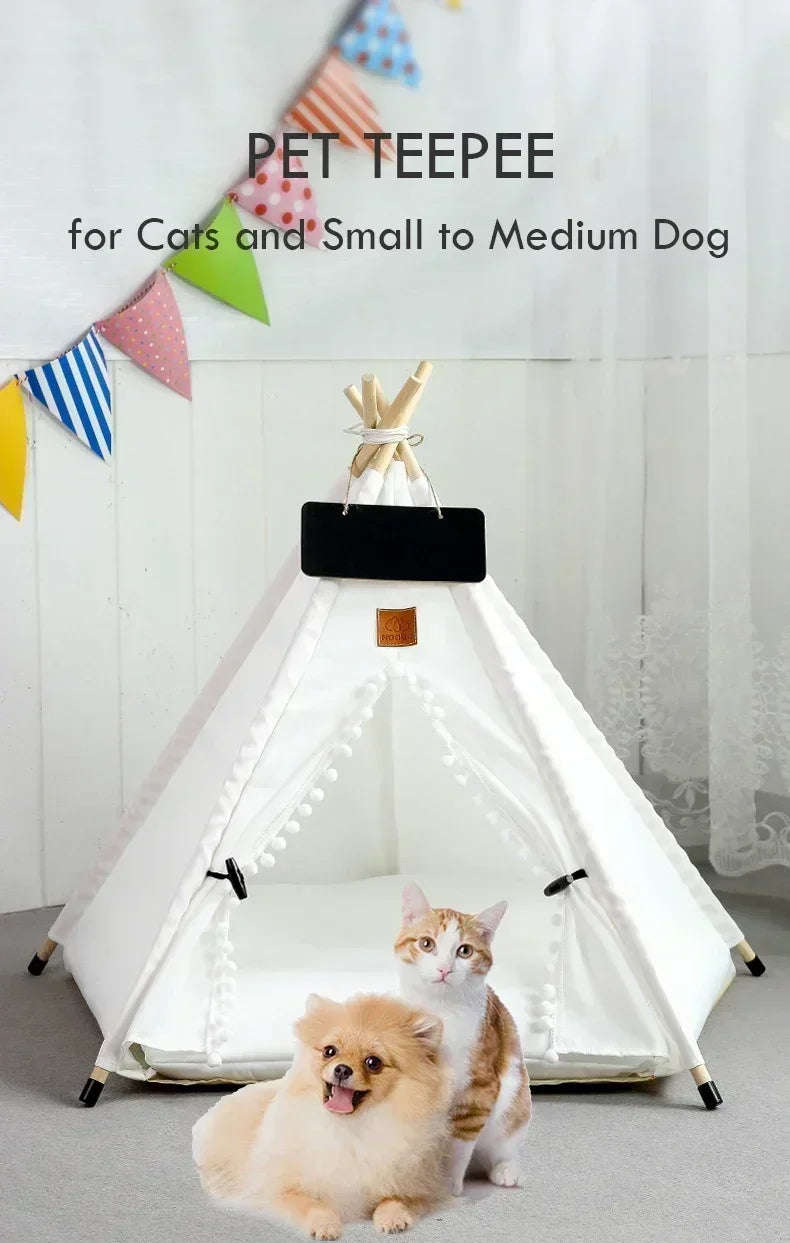 info cat bed