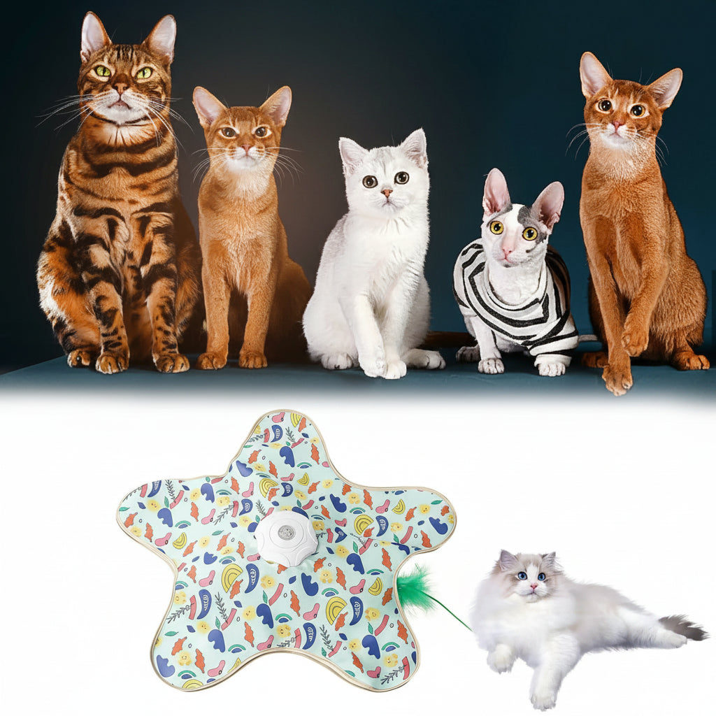 interactive cat hunting toy with hidden moving feather under cloth
