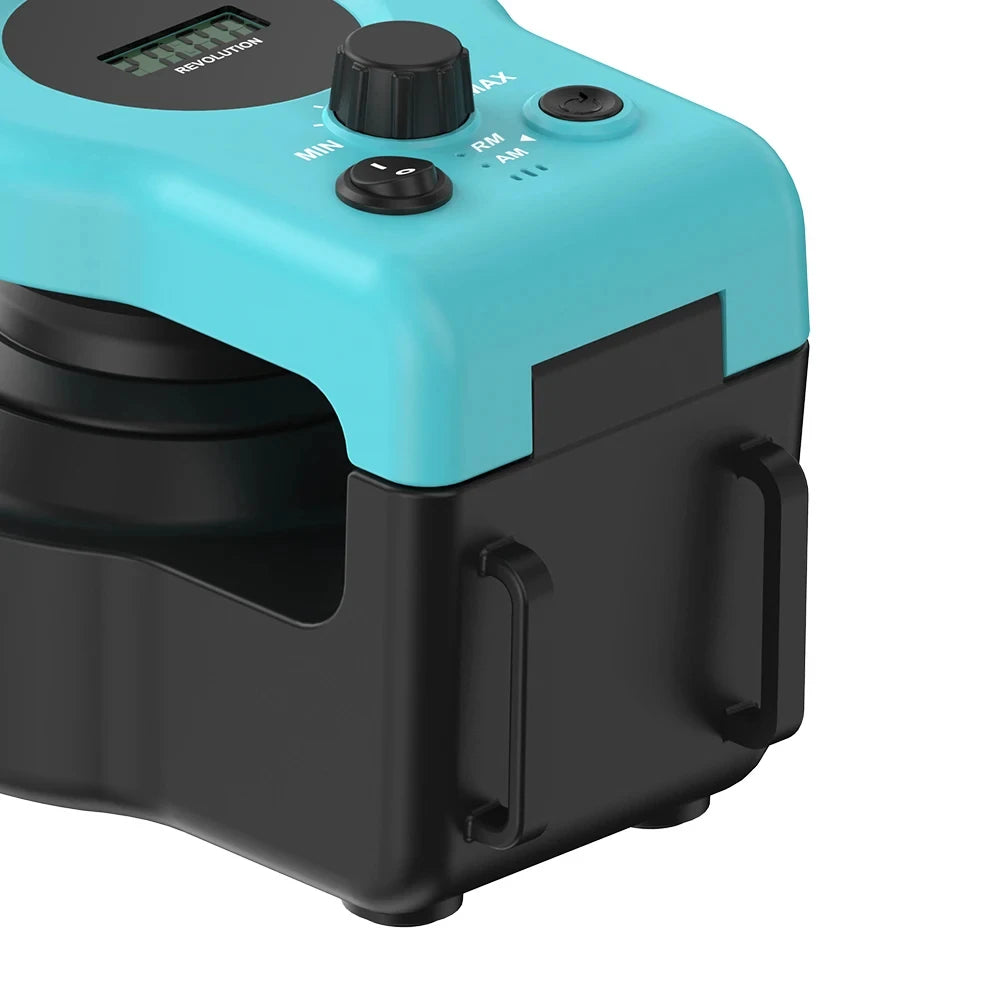 interactive cat toys