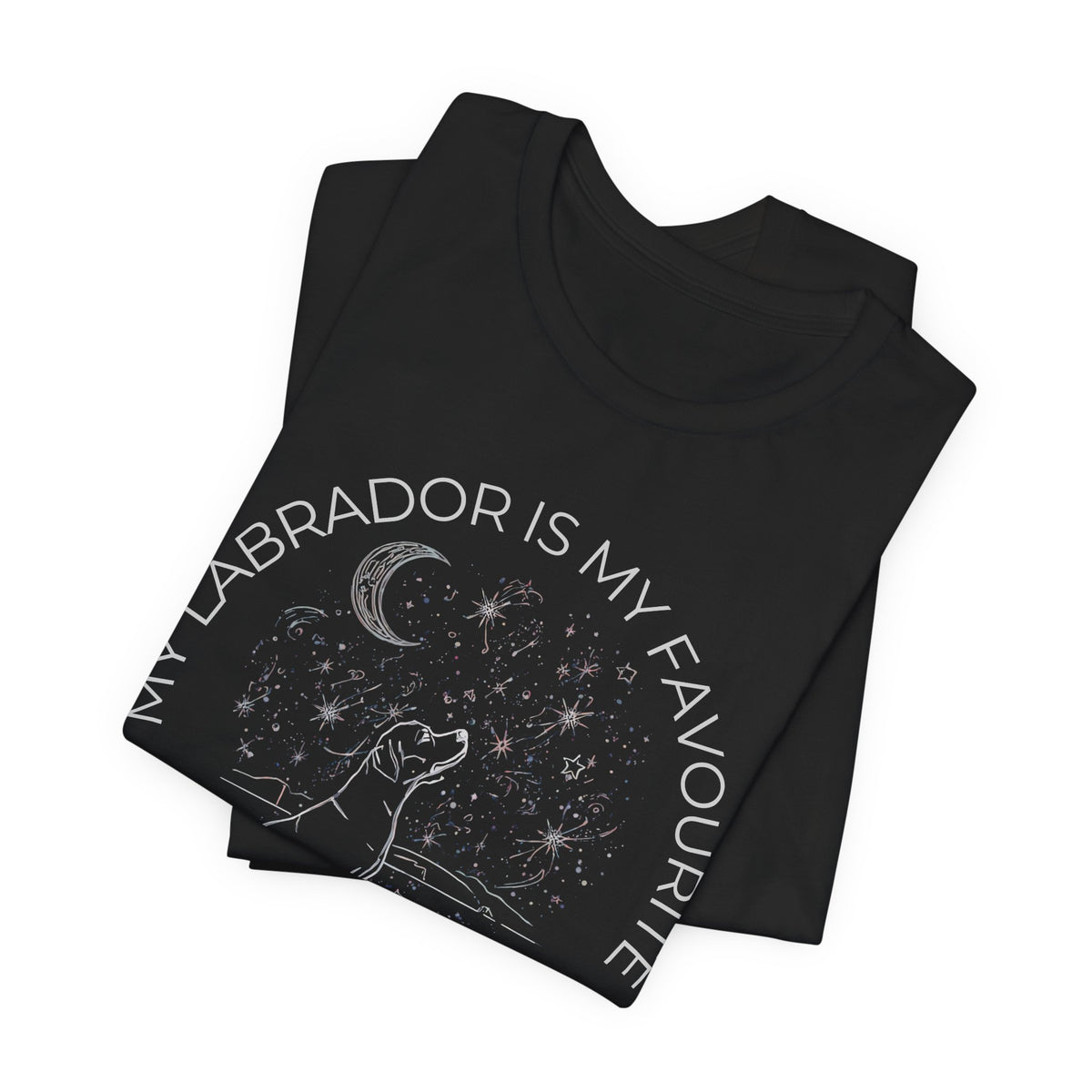 Labrador Cosmic Companion T-Shirt worn by model outdoors