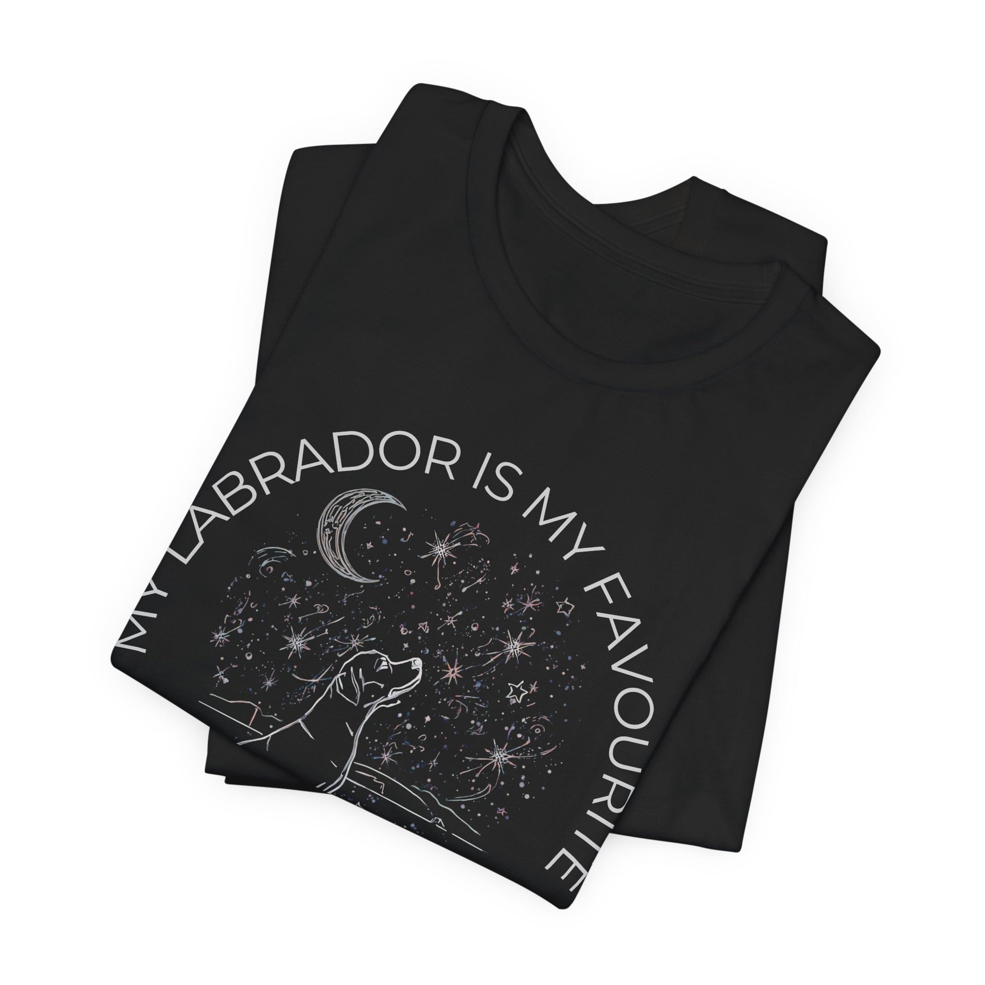 Labrador Cosmic Companion T-Shirt worn by model outdoors