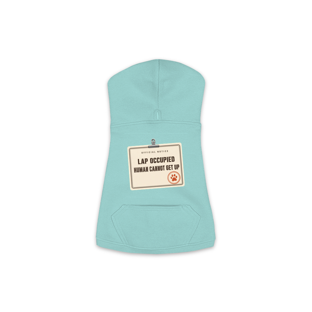 Lap Occupied dog hoodie in Saltwater Blue, sizes XS to M