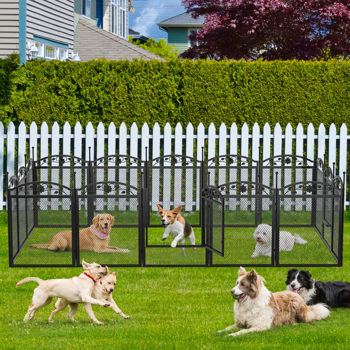 Easy setup dog playpen for training, playing, or whelping