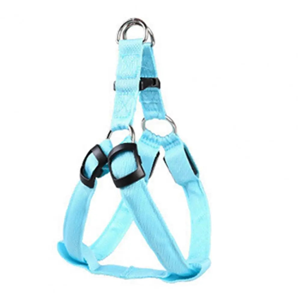 NightStrider™ LED dog harness in Blue, front view — SniffWaggleNWalk™