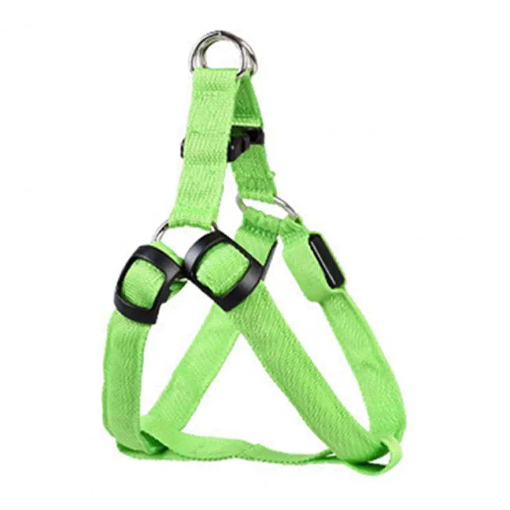 NightStrider™ LED dog harness in Green, front view — SniffWaggleNWalk™