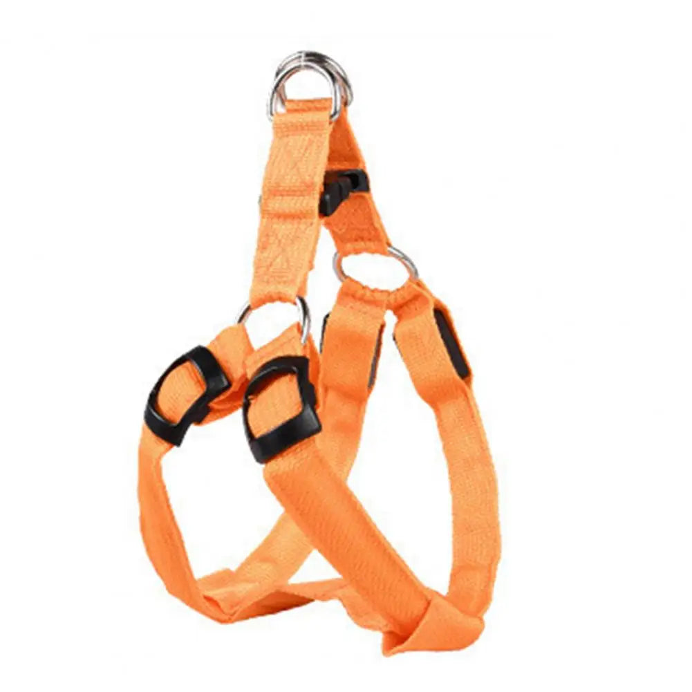 NightStrider™ LED dog harness in Orange, front view — SniffWaggleNWalk™