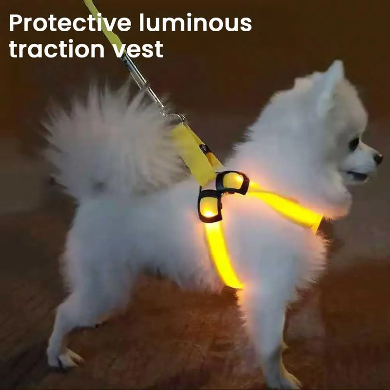 NightStrider™ LED dog harness worn by a small dog, side view — SniffWaggleNWalk™