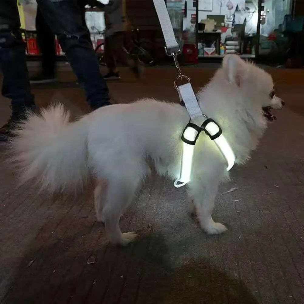 NightStrider™ LED dog harness on a small dog in low light, side view — SniffWaggleNWalk™