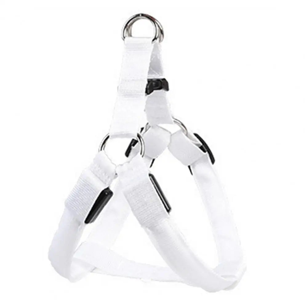 NightStrider™ LED dog harness in White, front view — SniffWaggleNWalk™
