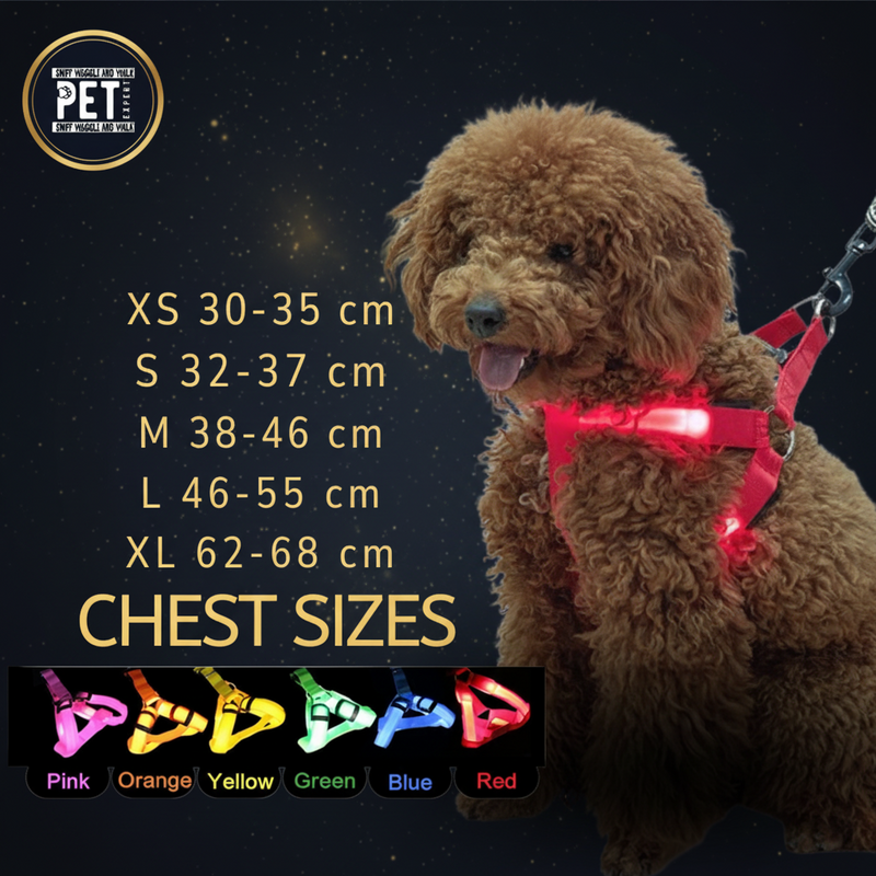 SniffWaggleNWalk NightStrider™ LED dog harness in white — glowing chest and back straps lit up at night