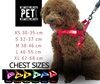 💡 USB Rechargeable LED Dog Harness – Light the Way, Keep Them Safe