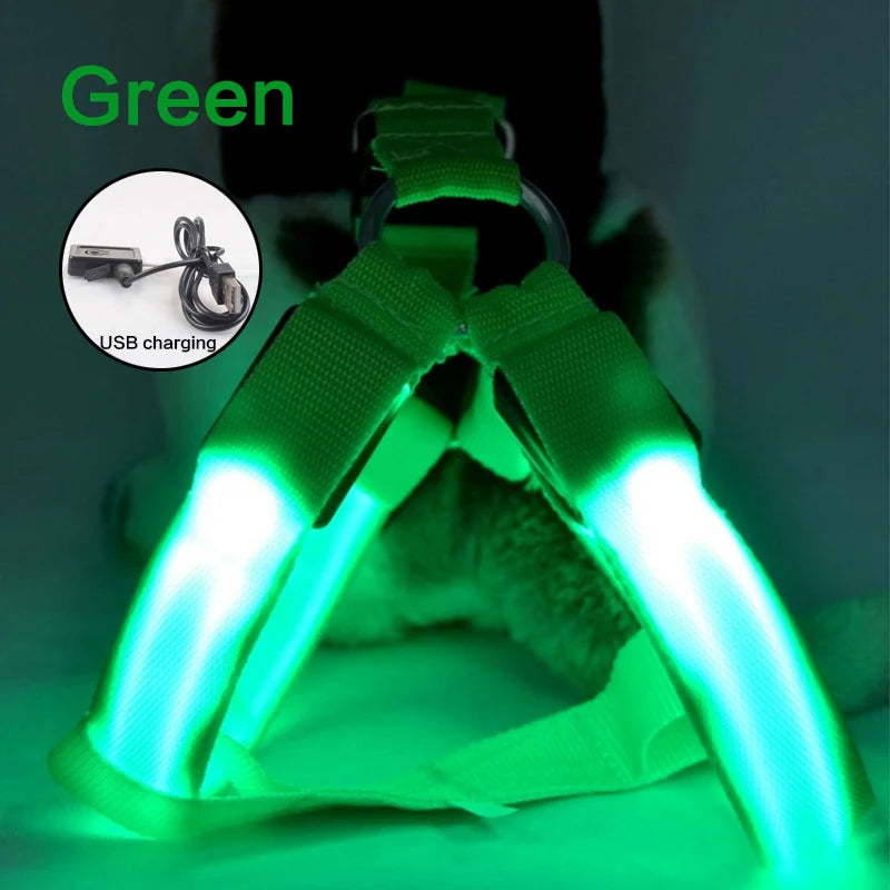 dog harness Illuminate Harness by sniffwagglenwalk - Sniff Waggle And Walk