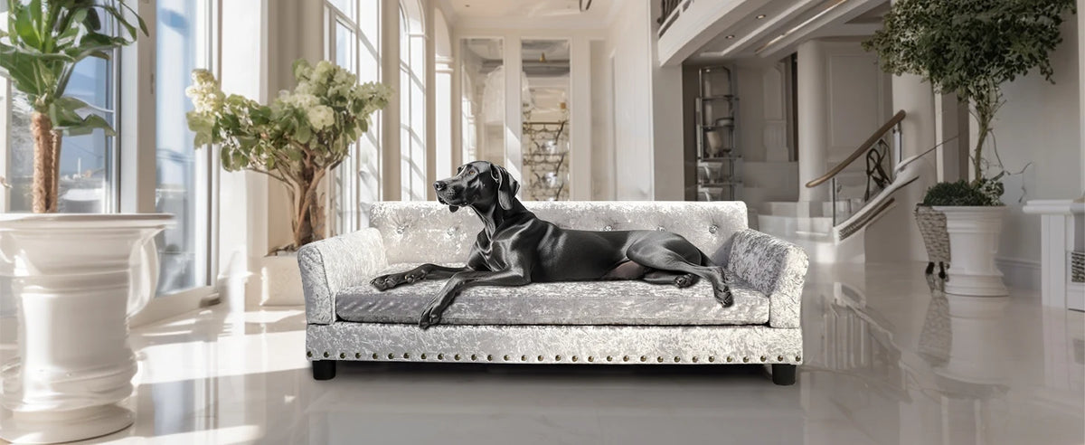 Chesterfield dog sofa bed showing high-density orthopedic sponge cushion layers