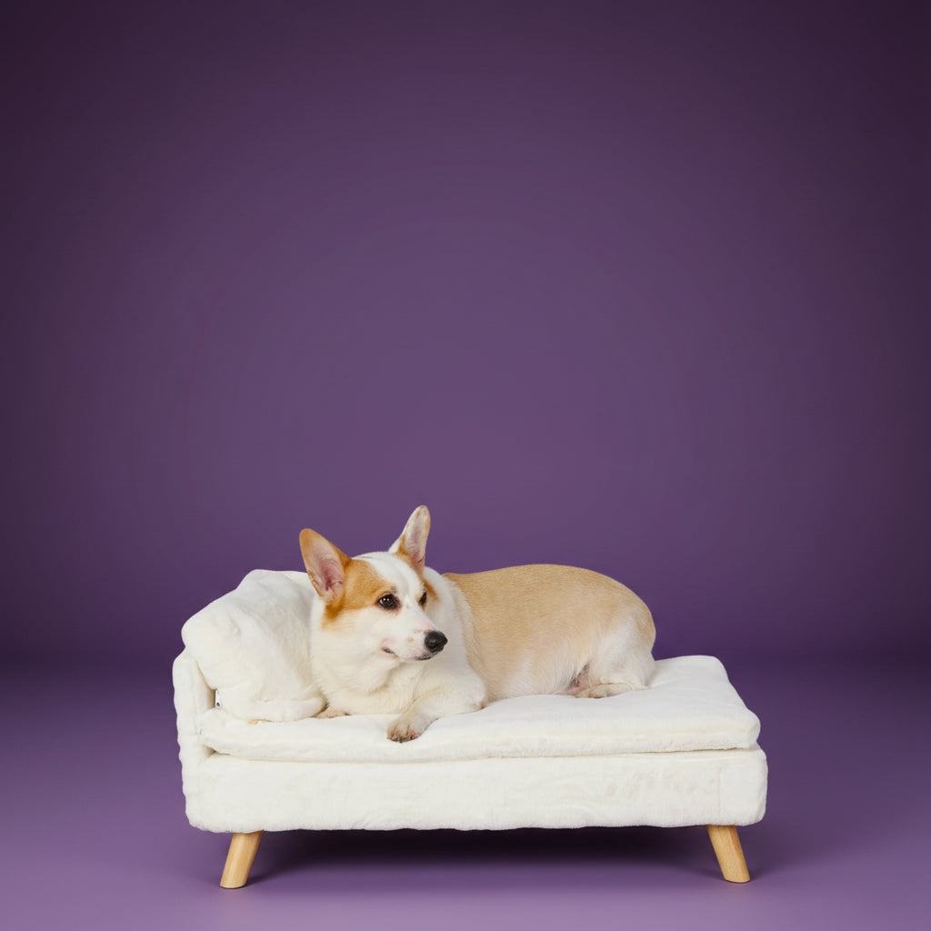 best luxury dog beds