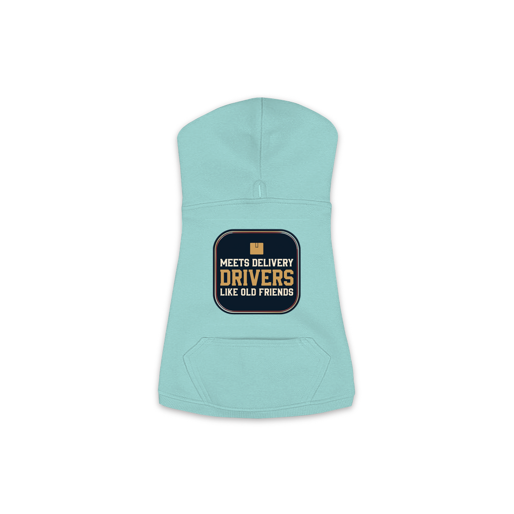 Meets Delivery Drivers dog hoodie in saltwater blue, sizes XS to M