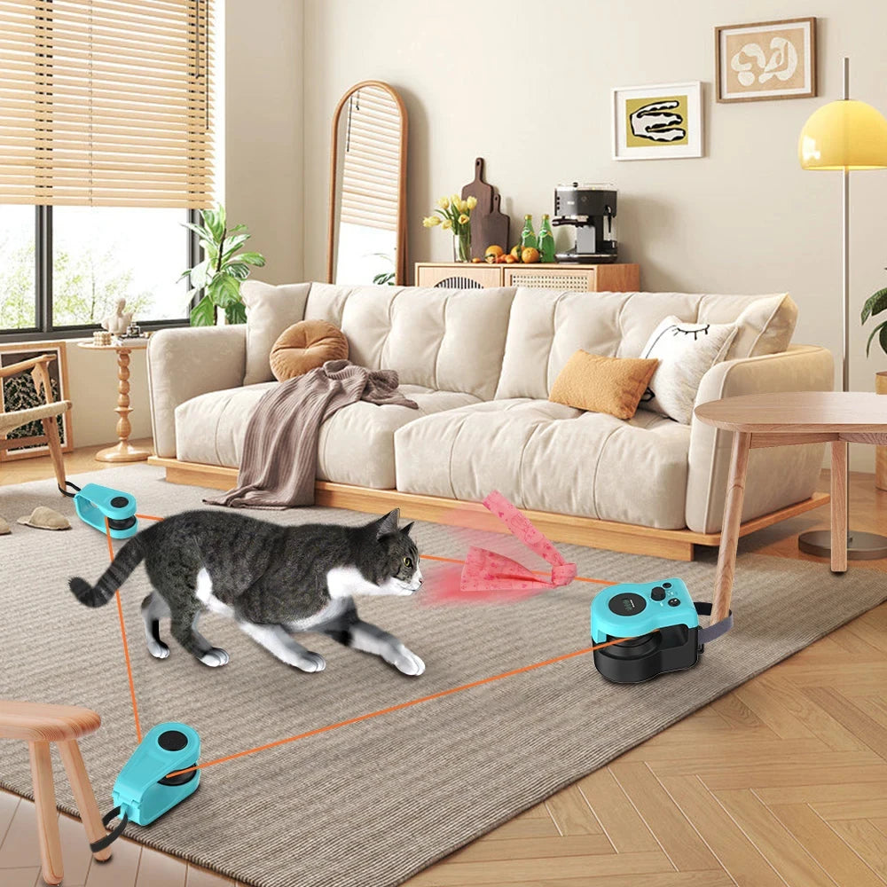 mouse chasing cat toy 