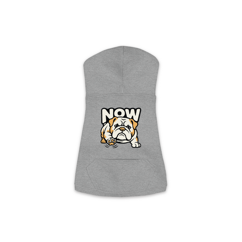 Now Bulldog dog hoodie in Granite Heather, sizes XS-M