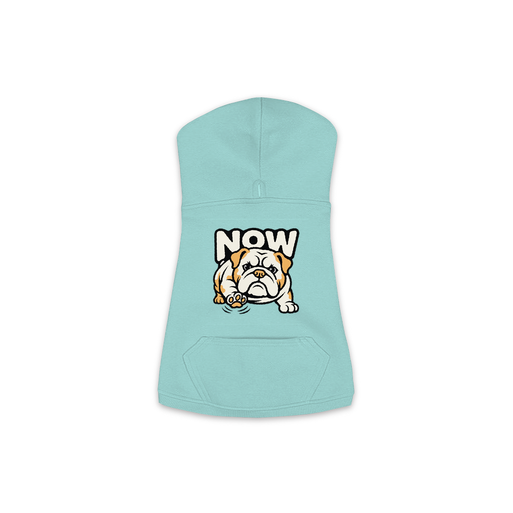 Now Bulldog dog hoodie in Saltwater, sizes XS-M
