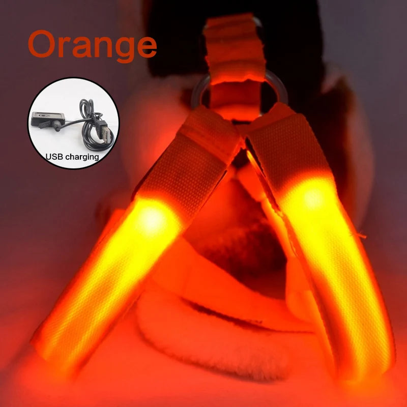 led dog harness Illuminate Harness by sniffwagglenwalk - Sniff Waggle And Walk