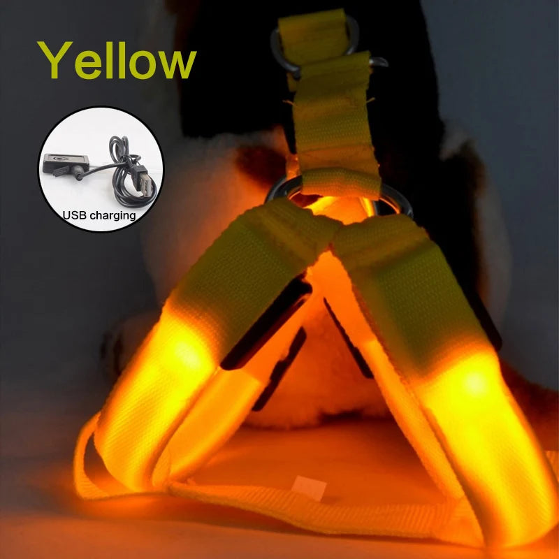 dogs Illuminate Harness by sniffwagglenwalk - Sniff Waggle And Walk