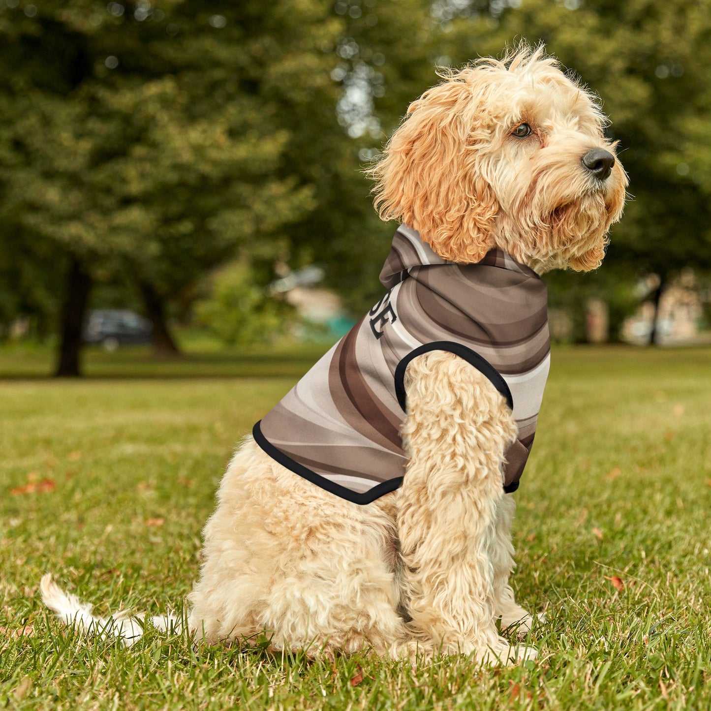 Dog wearing a striped shirt sitting on grass with trees in the background