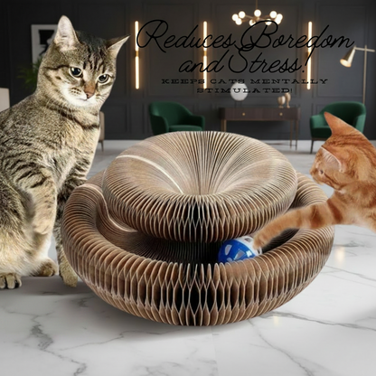 PawCoil™ honeycomb accordion cat scratcher and ball track toy expanded into donut shape, viewed from above, with ball in centre channel