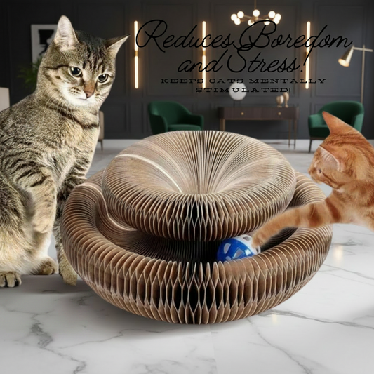 PawCoil™ honeycomb accordion cat scratcher and ball track toy expanded into donut shape, viewed from above, with ball in centre channel