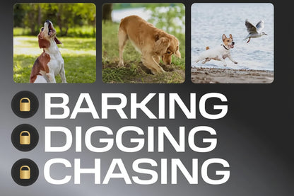handheld ultrasonic dog bark training device on a real walk, dog softly in background. 