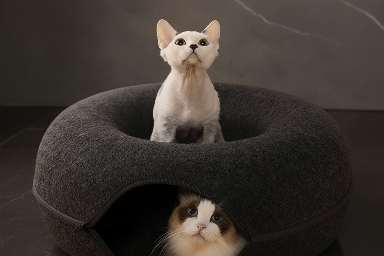 pawden  pod cat bed cat tunnel