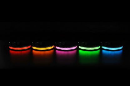 Five rechargeable LED dog collars side-by-side glowing in red, green, blue, pink and orange on a dark surface